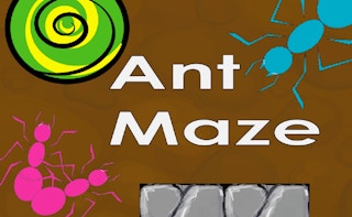 Image Ant Maze